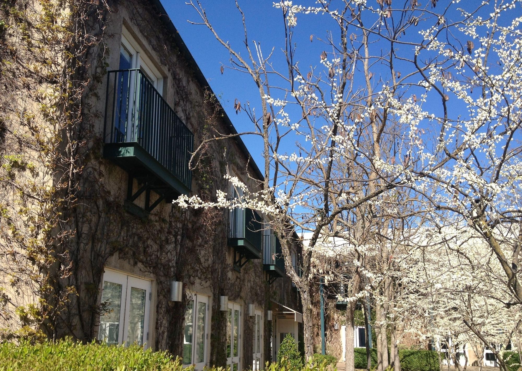 Southbridge Napa Valley St. Helena Esterno foto