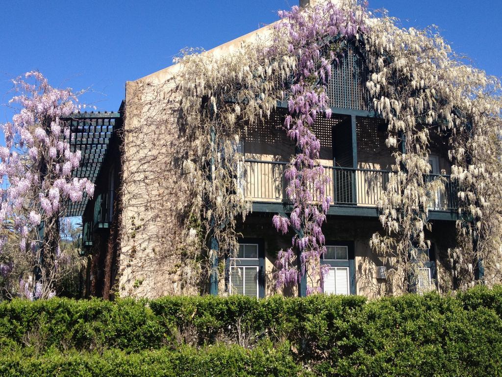 Southbridge Napa Valley St. Helena Esterno foto